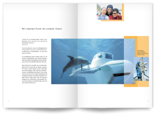 Broschüre Innenseite Broschüre zur CEBIT